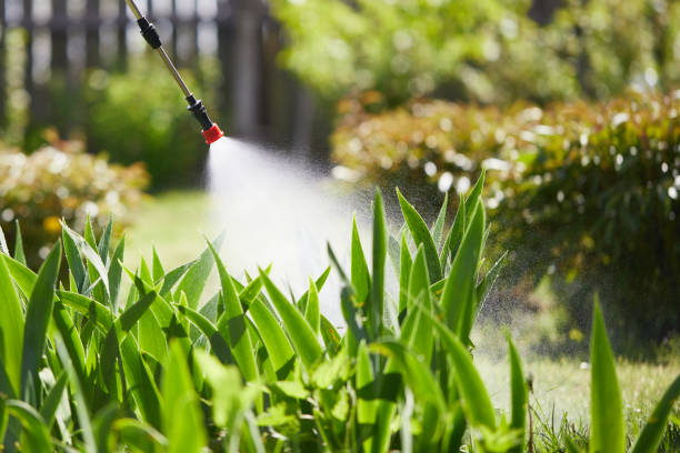 24/7 Emergency Cockroach Control experts in Cavalier, ND